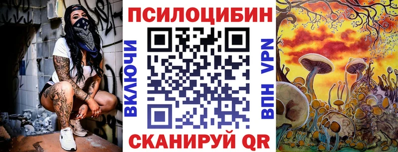 Галлюциногенные грибы мицелий  Купить закладки  Чкаловск 